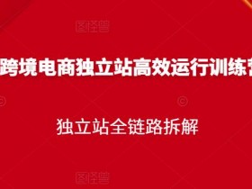 迪拜跨境电商新机会如何利用，2025年迪拜电商新机遇解析