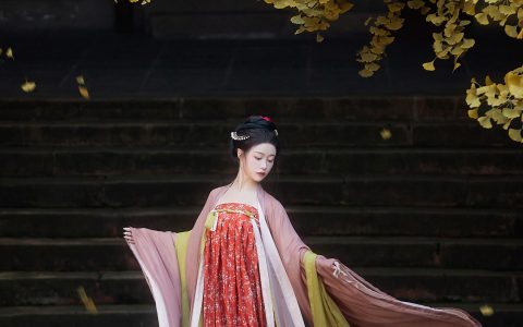 宫墙柳美图 古风 汉服 美人 摄影 – YiTuYu艺图语