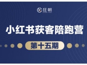 二手车短视频如何吸引潜在客户，通过短视频精准引流的技巧