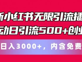 小红书掘金虚拟项目怎么玩，低成本操作的新手入门教程