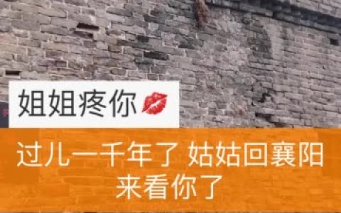 二姐疼你楚七七跳舞的独特风格,探索二姐疼你最受欢迎的舞蹈视频