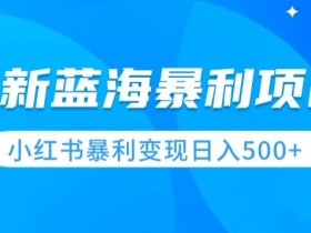 小红书短剧怎么赚钱啊，从搬运到收益的详细步骤解析