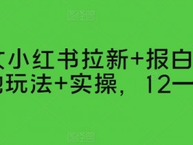 如何高效推广短剧，小红书蓝海赛道的操作秘诀揭秘