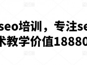 抖音SEO优化工具使用案例，精准抓住用户搜索需求的技巧