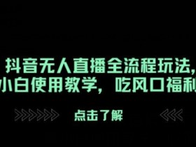 抖音带货蓝海项目揭秘，抓住2025年的流量红利