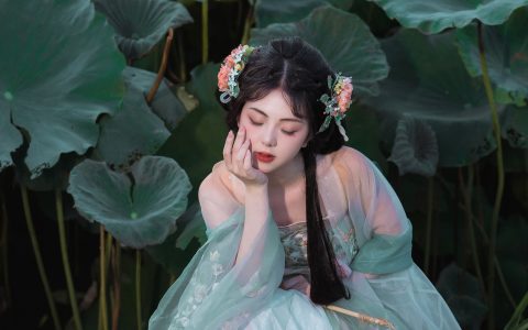 芙蕖 – YiTuYu艺图语