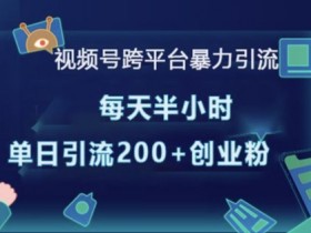 2025年视频号无人直播收益解析，单号单月如何实现高收入？