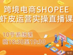 迪拜跨境电商新机会如何利用，2025年迪拜电商新机遇解析