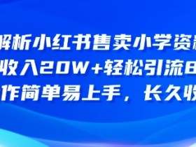 如何高效推广短剧，小红书蓝海赛道的操作秘诀揭秘