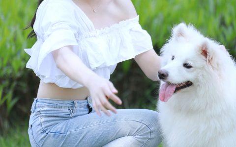 宠物情缘青春 女生 小清新 写真 – YiTuYu艺图语