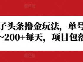 微头条AI项目的全流程，从选题到发布的详细操作技巧
