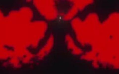 黑色五叶草所有角色名单黑色五叶草角色大全,全面了解黑色五叶草中的各大角色