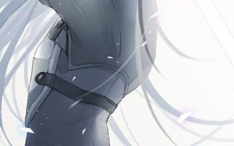 刀剑神域大祭司与桐人的最终对决,谁将成为最终的胜者?