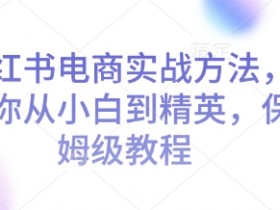 如何用小红书图文矩阵赚钱，批量发布引流日增流量300+