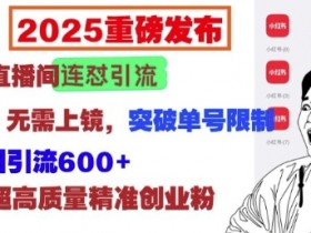 小红书矩阵推广靠谱吗，从流量到变现的玩法深度解析