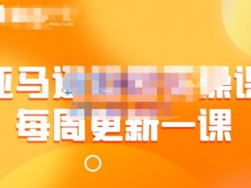 亚马逊品牌店铺的运营技巧，打造品牌力的必备策略