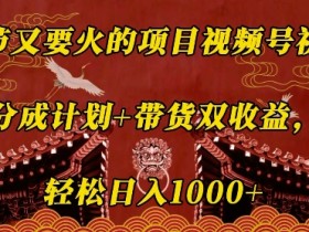 视频号素人直播的高级玩法，从个人到团队的运营进阶技巧