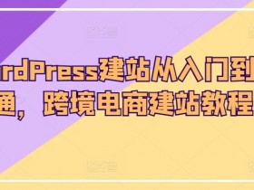 迪拜跨境电商资金管理如何规划，规划迪拜跨境电商项目的资金管理