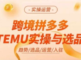 拼多多无人直播零门槛起号攻略，快速搭建24小时自动直播