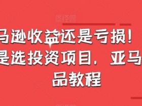 亚马逊成人用品类目如何精细化运营，从投放到转化的全攻略