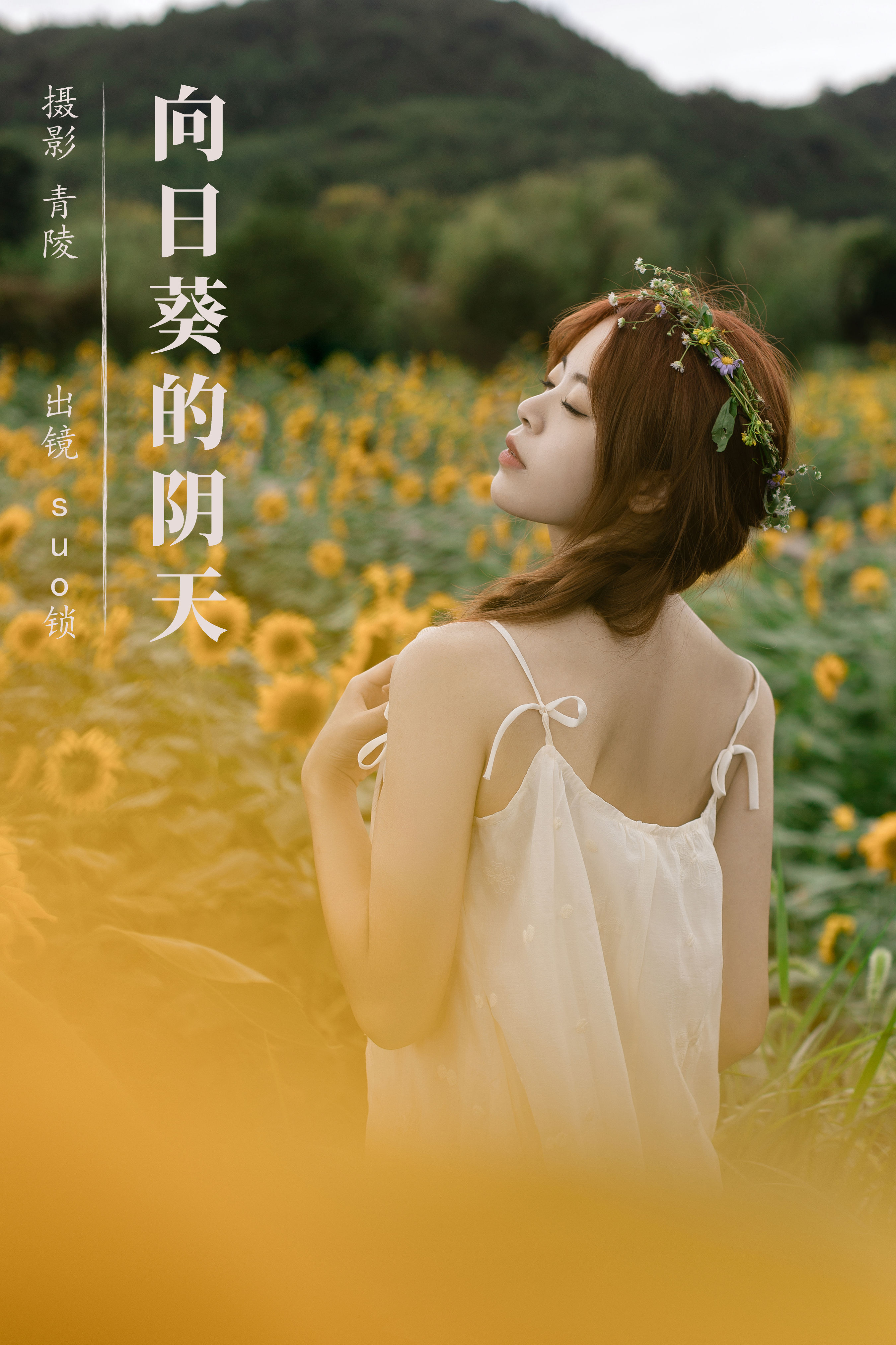 向日葵的阴天 