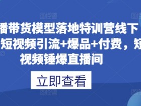 虚拟直播间的字幕与语言设置，设置虚拟直播间字幕与语言选项的技巧