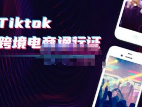 迪拜跨境电商运营模式如何提升收入，提升迪拜电商平台运营收入的方案