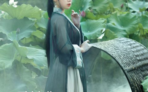 一只高高《采莲曲》 – YiTuYu艺图语