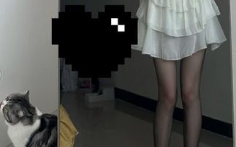 巨恶小锯鳄微密圈“能者多劳”网红的个人风格与生活