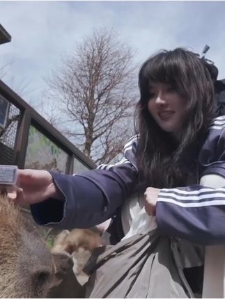 【这就是阿朱啊】英姿爽爽，职业套装写真