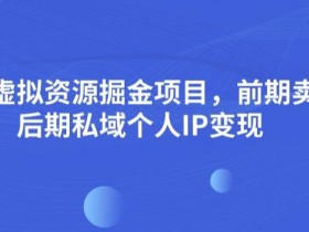 小红书蓝海虚拟资料玩法，信息差项目轻松变现