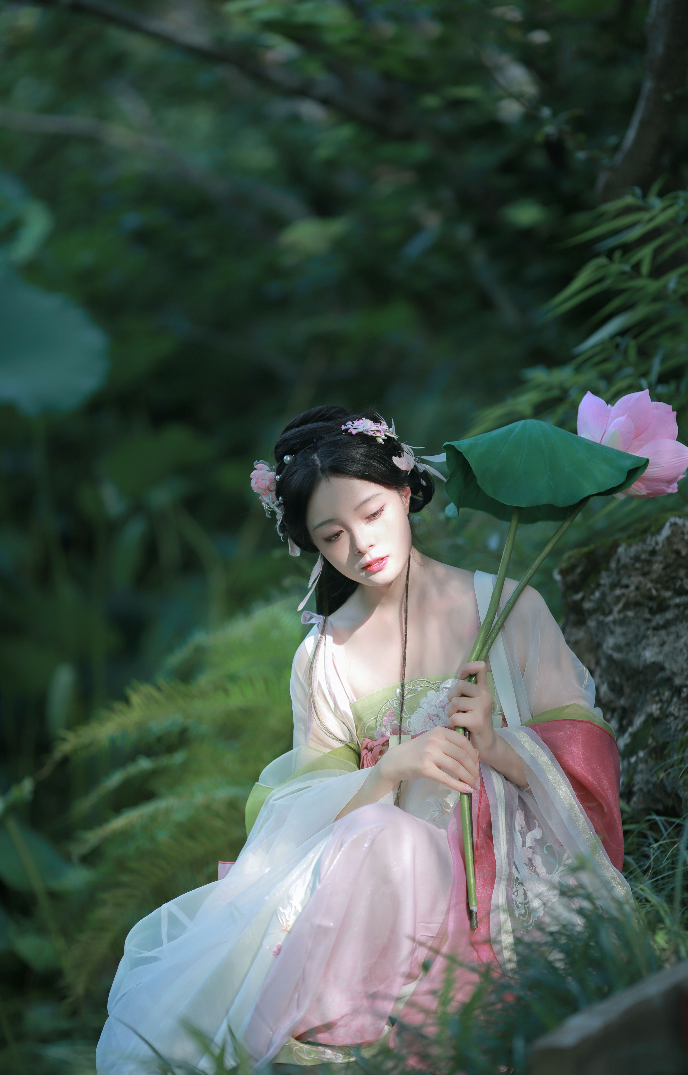 汉服荷花写真 