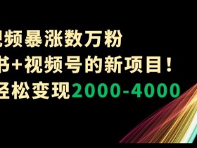 小红书短时间内如何快速引流，流量爆发的高效方案解析