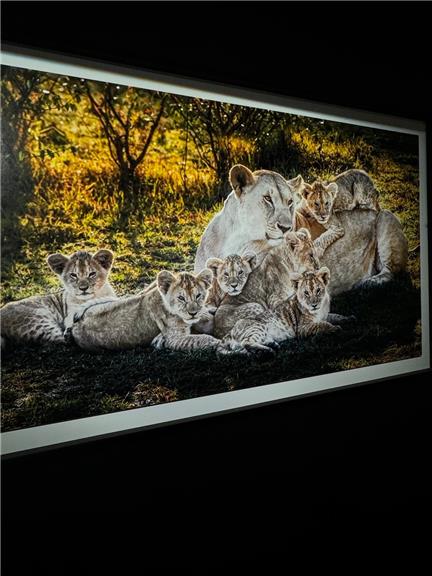 张鑫baby微密圈套图合集揭秘，视频资源展现独特魅力与性感演技