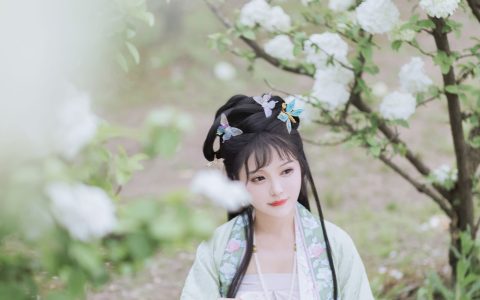 璐璐haley《探春》 – YiTuYu艺图语