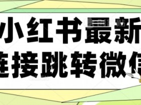 小红书如何高效带货，笔记推广与精准引流的全解析