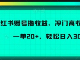 如何通过小红书笔记实现引流，精准引导粉丝关注的技巧