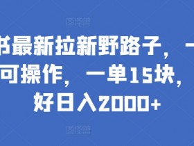 如何总结小红书运营项目，数据分析与成果提炼的技巧