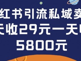 如何打造爆款小红书笔记，从推流到转化的全链路拆解
