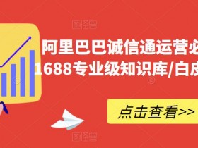 国际站运营的供应链管理，如何在运营中有效管理供应链