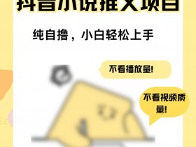 抖音推广全流程解析，从视频制作到营销投放的完整步骤