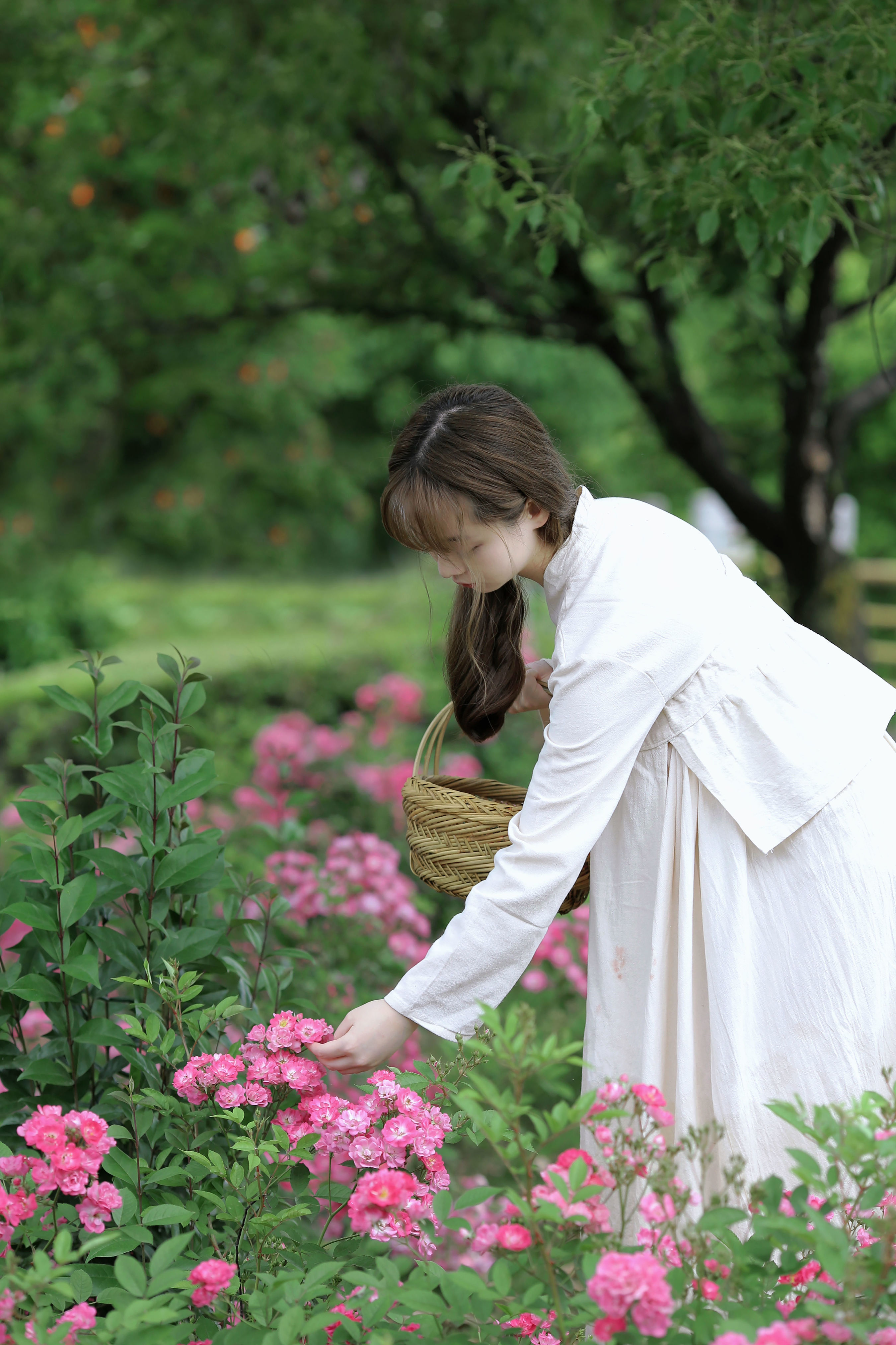 歌一段江南小镇伶人流水人家 清纯 小姐姐 少女 小清新 绿色 摄影 养眼