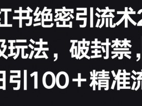 短剧推广引流怎么玩，小红书日增百人的精准操作技巧