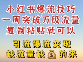 小红书掘金虚拟资源玩法，冷门赛道操作日入过万