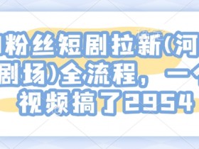 夸克拉新推广计划的制定，如何制定有效的夸克拉新推广计划