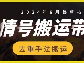 抖音带货蓝海项目揭秘，抓住2025年的流量红利
