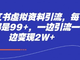 小红书蓝海虚拟资料玩法，信息差项目轻松变现