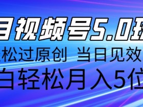 手把手教你开通视频号分成计划，新手快速入门的详细步骤