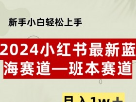 小红书掘金虚拟资料项目，月入5000+的冷门玩法实操解析