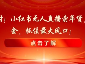 小红书引流推广技巧全解，精准获取粉丝与客户的全套策略